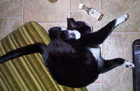 Zzzzzzzz Burp Zzzzzzzz