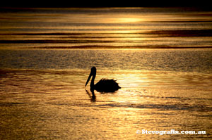 Pelican Sunset North Entrance